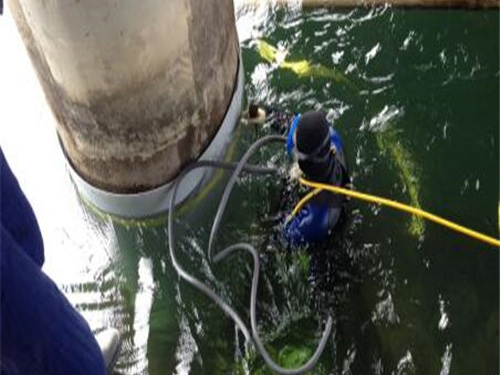 橋墩橋樁水下加固